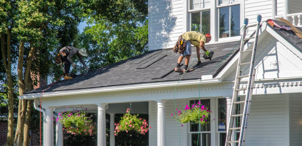 Best Roof Moss and Algae Removal  in Franklin, WI